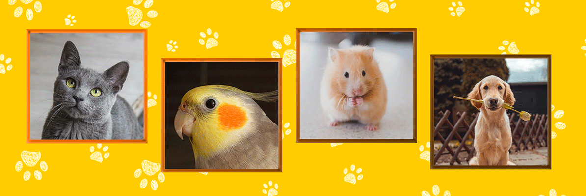 pspan-styleundefinedfont-size16pxfont-size16pxfont-size16pxHallo-HONOR