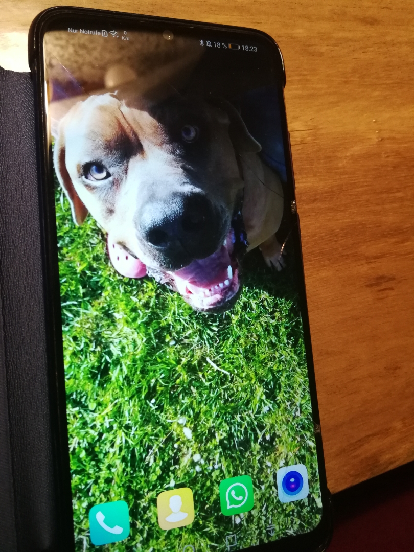 pimg-srchttpsiforum-dechihonorcomdedataimages20201121e58f6c2c-15bd