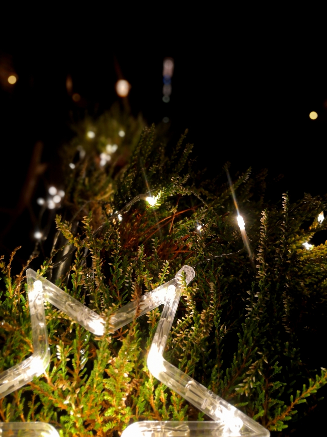 pspan-stylefont-size16pxLiebe-HONOR-Fansspanppspan-stylefont