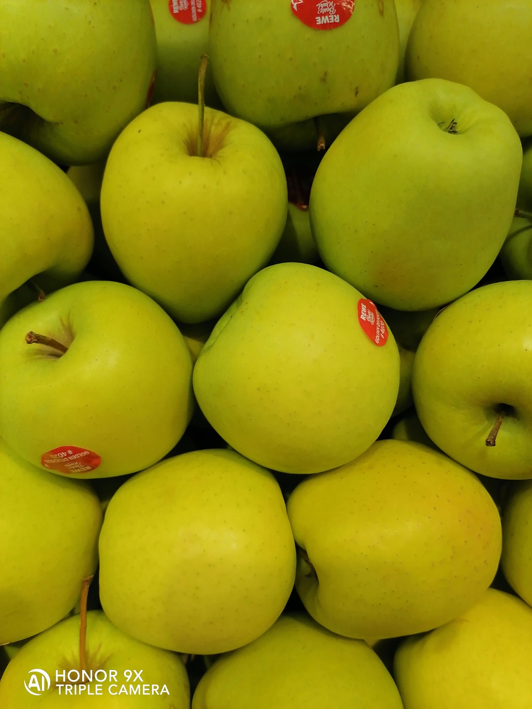 Der-Foto-Test-mit-dem-HONOR9X