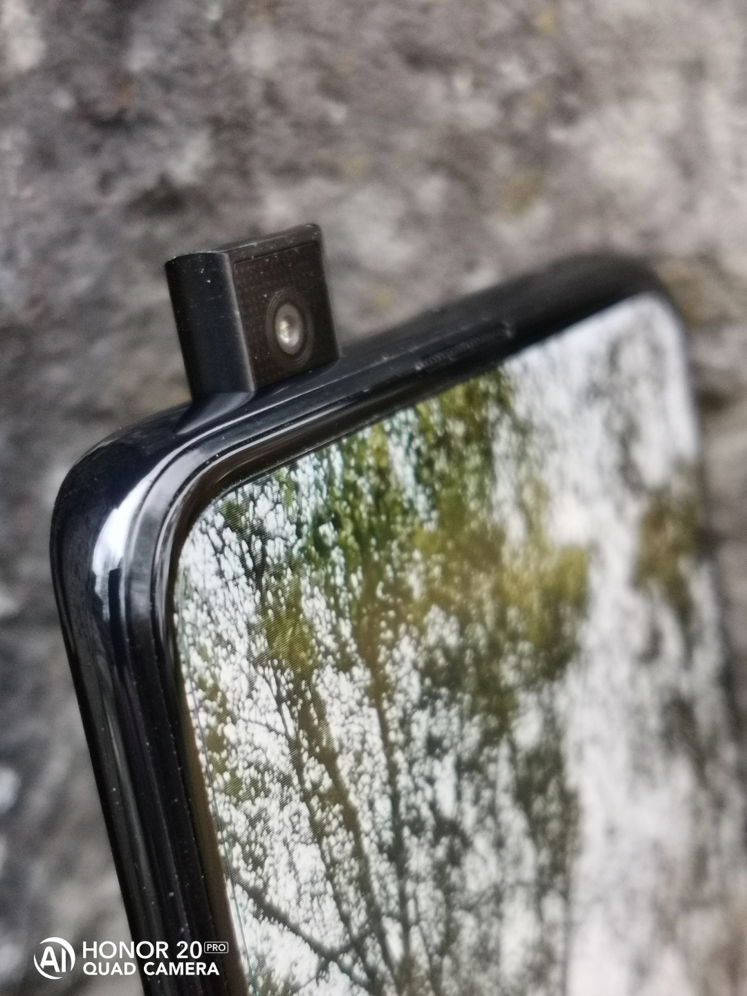 Der-Foto-Test-mit-dem-HONOR9X