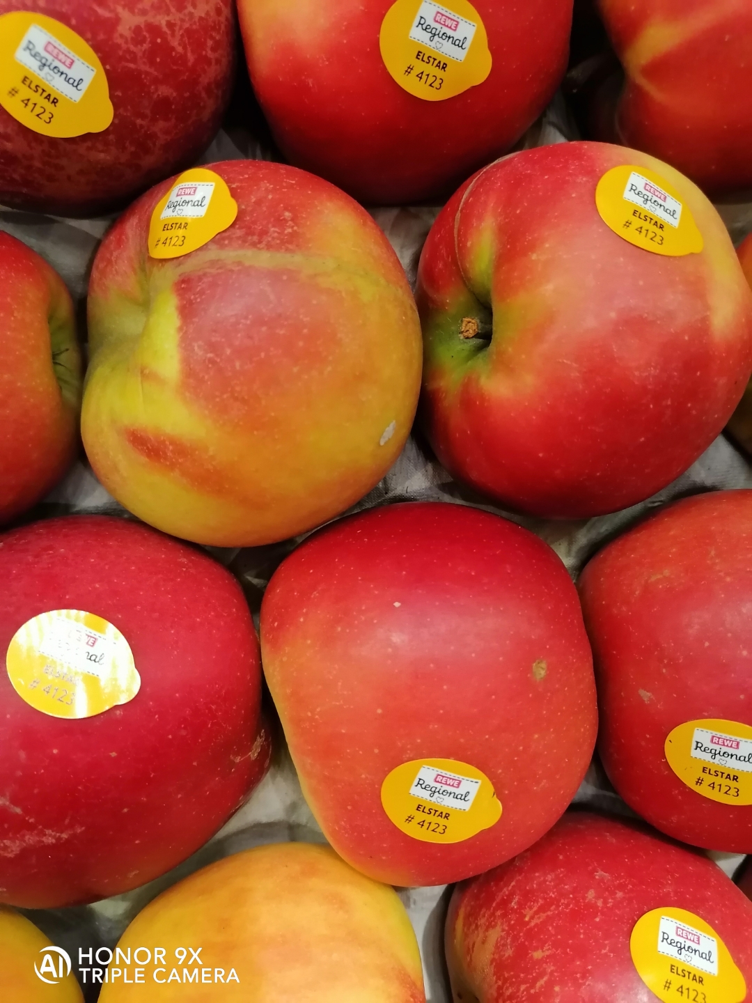 Der-Foto-Test-mit-dem-HONOR9X