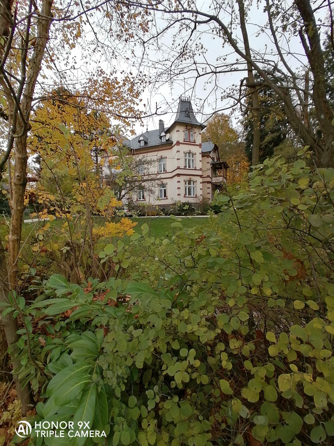 Der-Foto-Test-mit-dem-HONOR9X