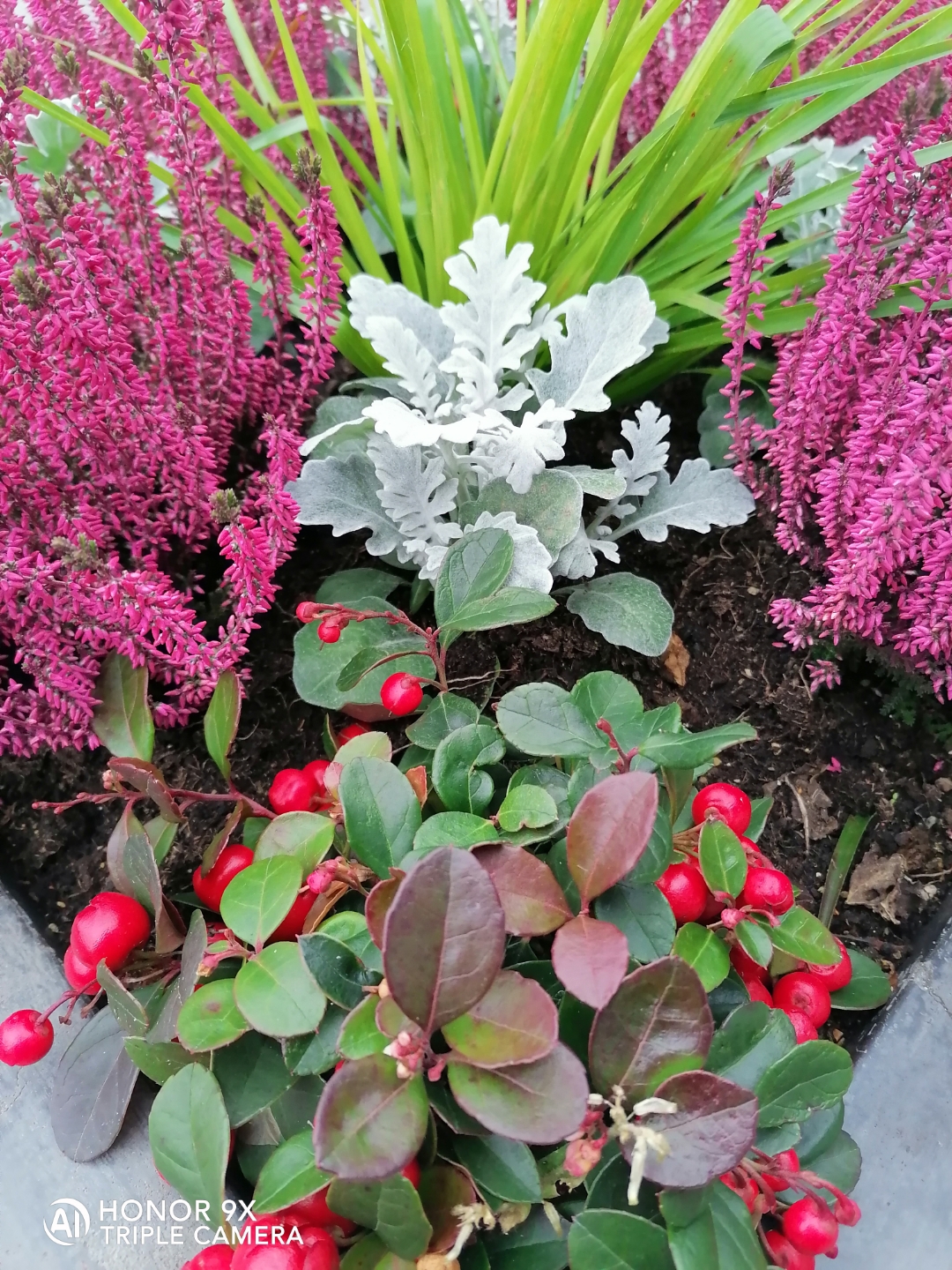 Der-Foto-Test-mit-dem-HONOR9X