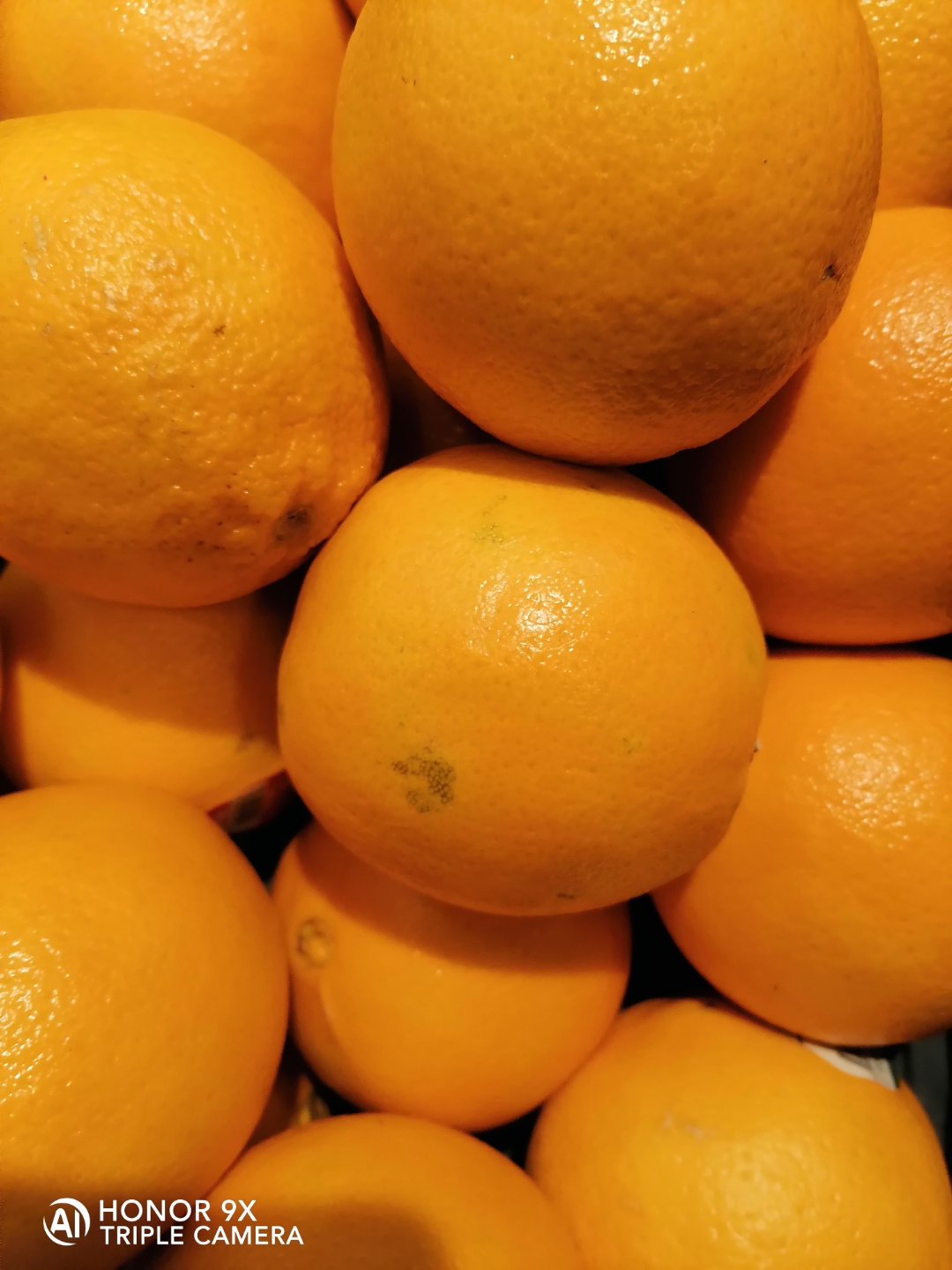 Der-Foto-Test-mit-dem-HONOR9X