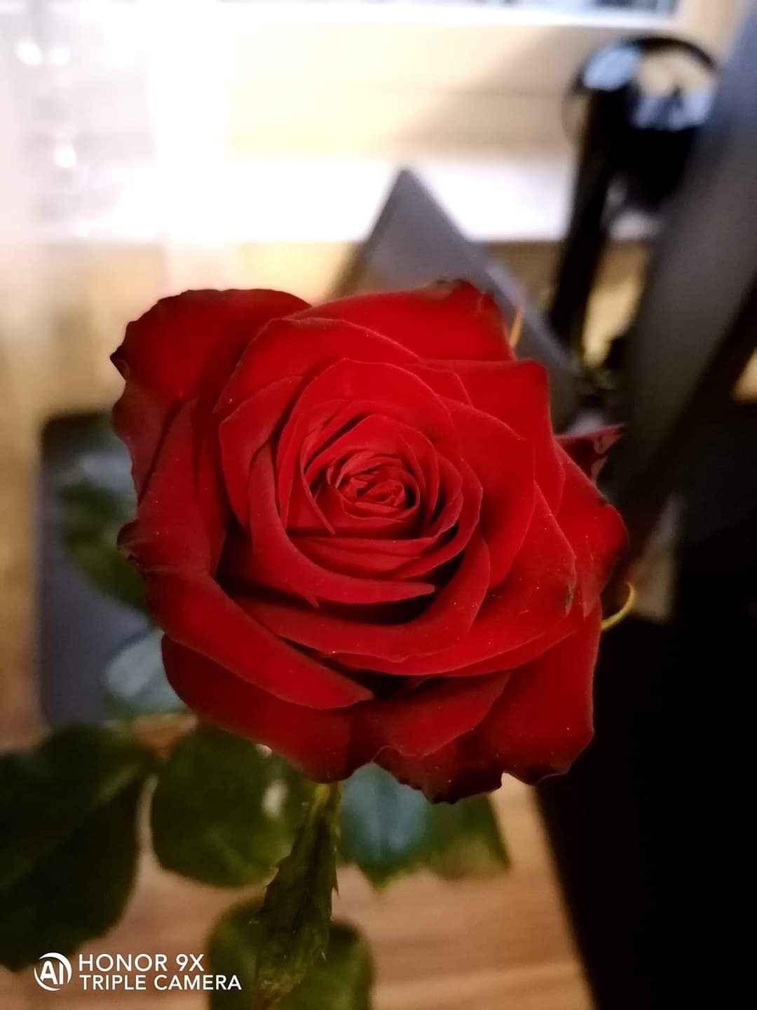 Der-Foto-Test-mit-dem-HONOR9X