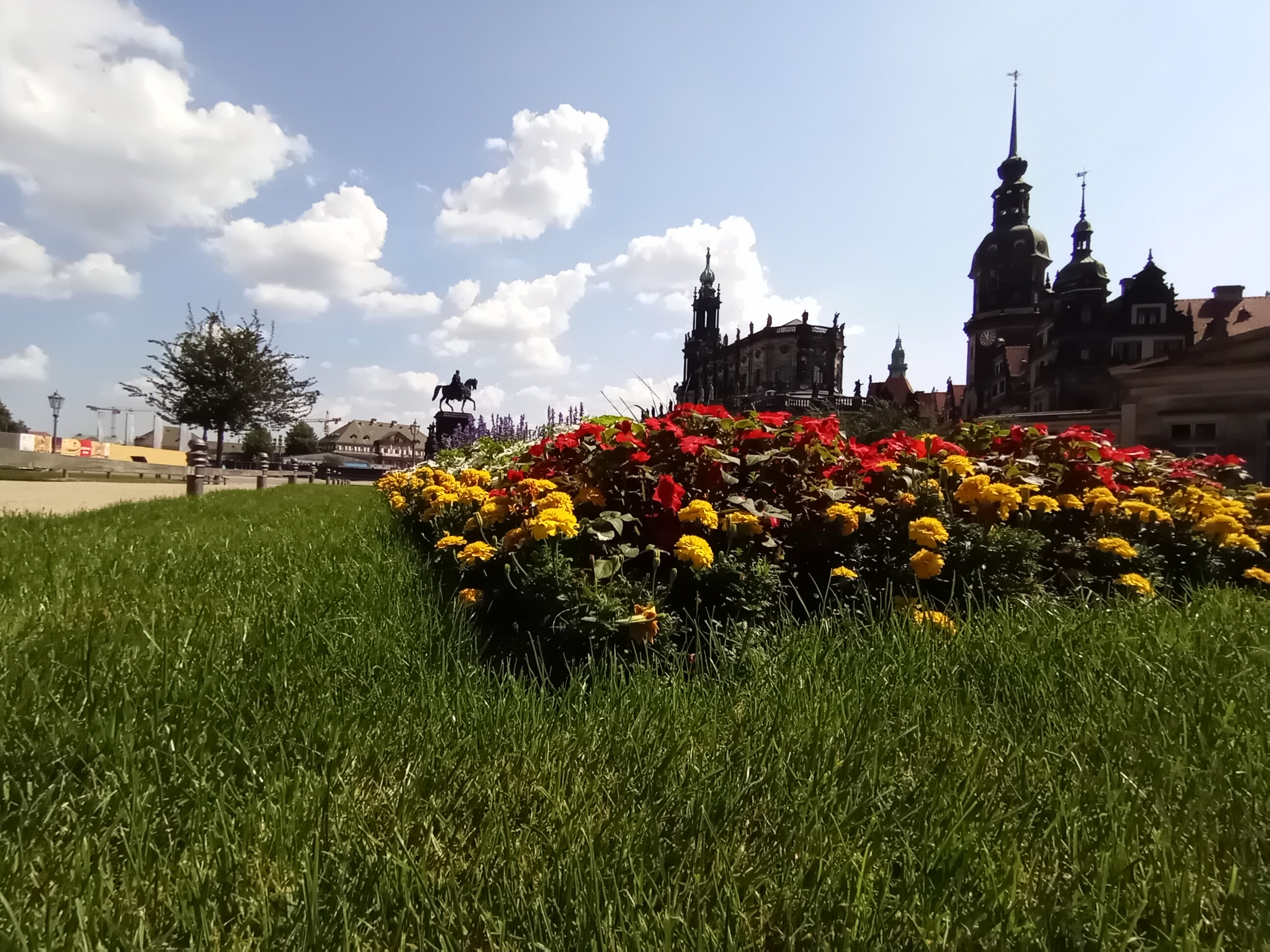 p-styletext-align-centerspan-stylecolor-rgb51-51-51-letter-spacing