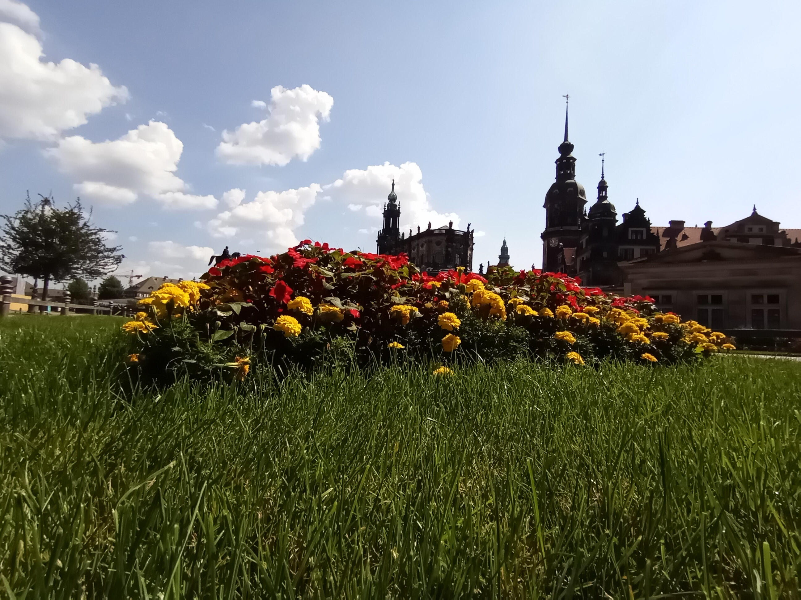 p-styletext-align-centerspan-stylecolor-rgb51-51-51-letter-spacing