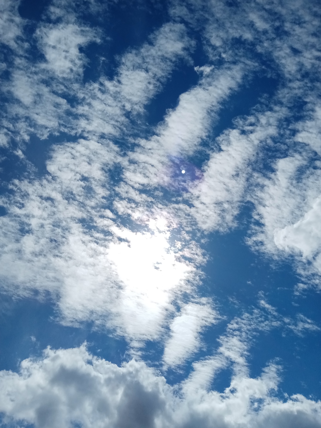 pWie-einige-wissen-ist-mein-Wohnort-recht-grün-Da-ich-auch-seit-heute