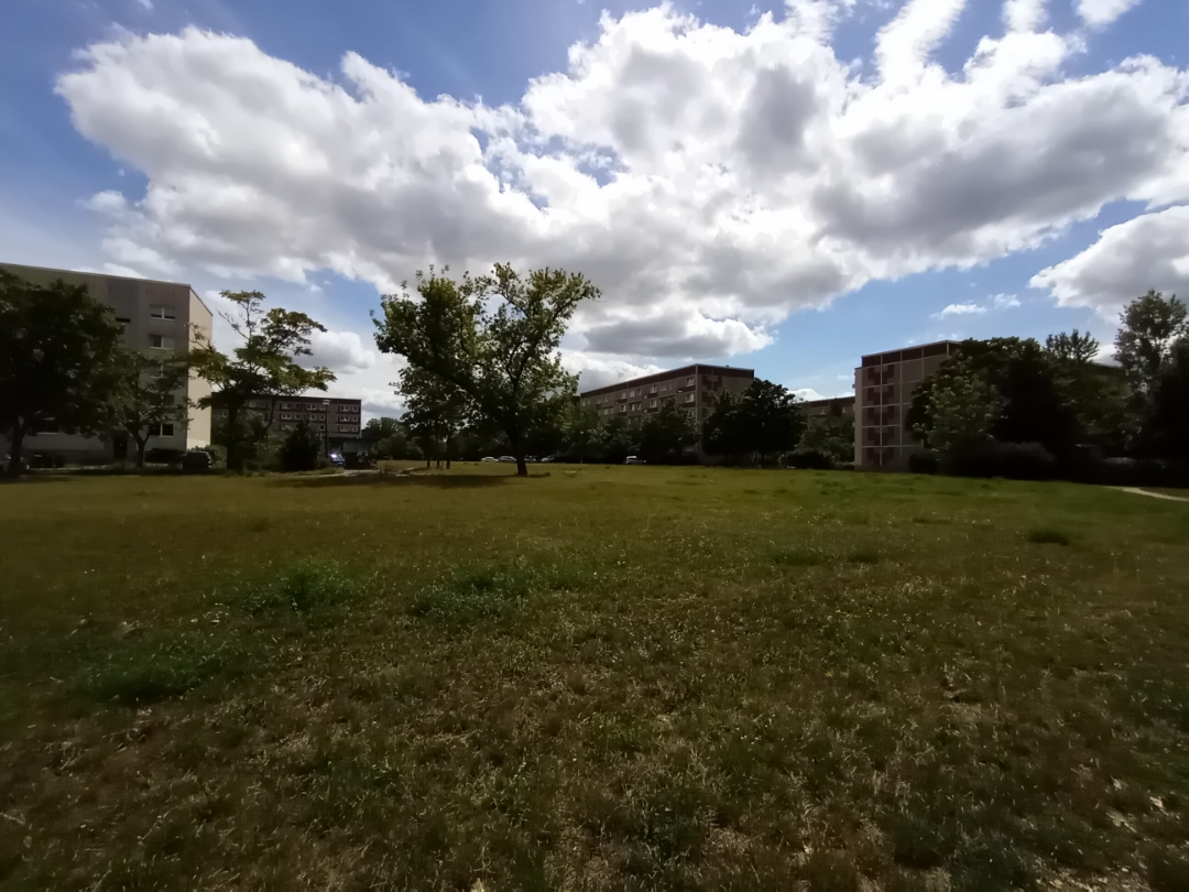 pWie-einige-wissen-ist-mein-Wohnort-recht-grün-Da-ich-auch-seit-heute