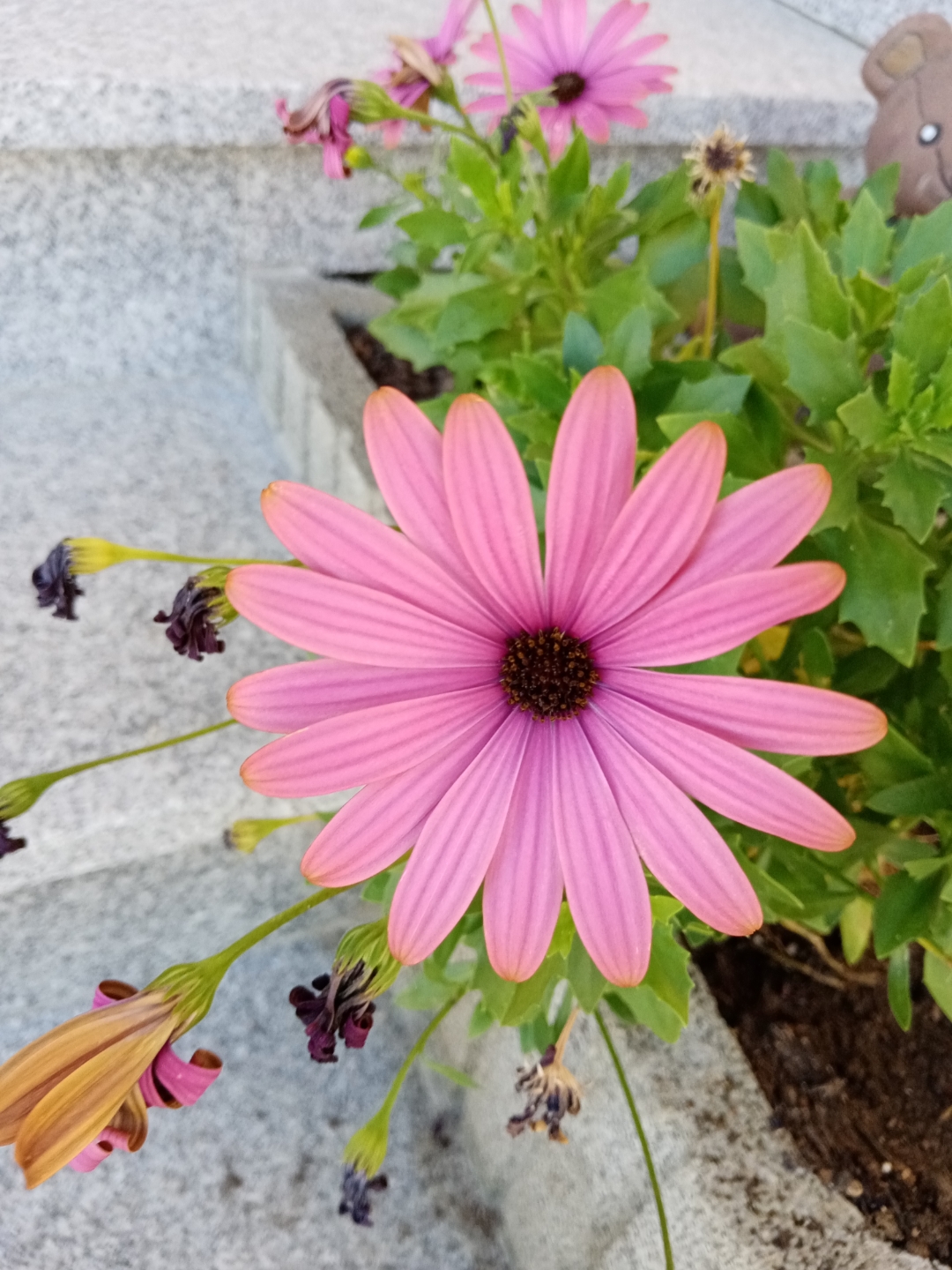 pDas-HONOR-9A-hat-ein-sehr-schlichtes-und-minimalistisches-Design-Auf