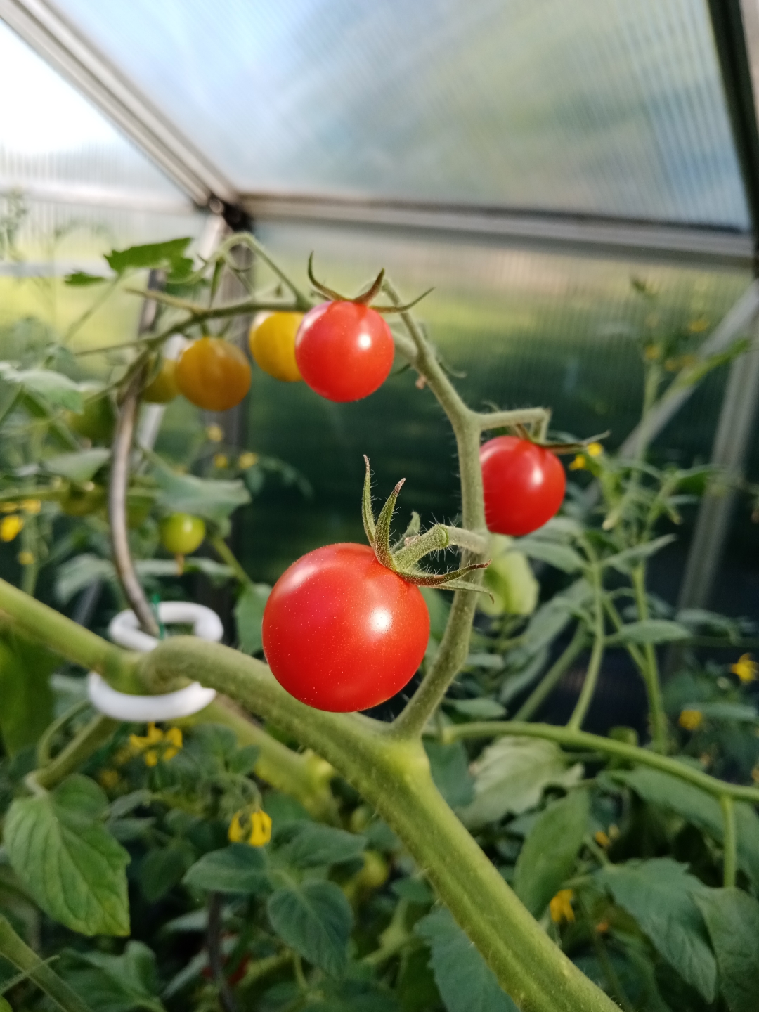 pDas-HONOR-9A-hat-ein-sehr-schlichtes-und-minimalistisches-Design-Auf