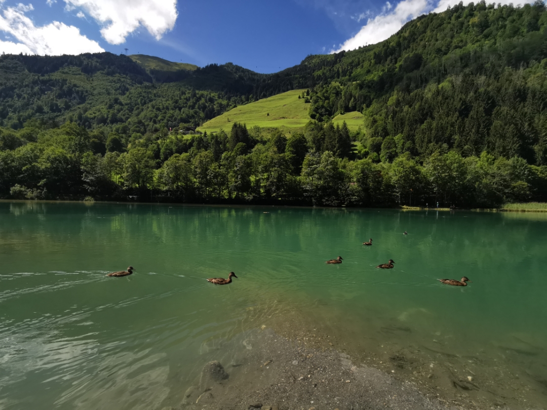 pimg-srchttpsiforum-dechihonorcomdedataimages202091675974ca3-28e3-4410