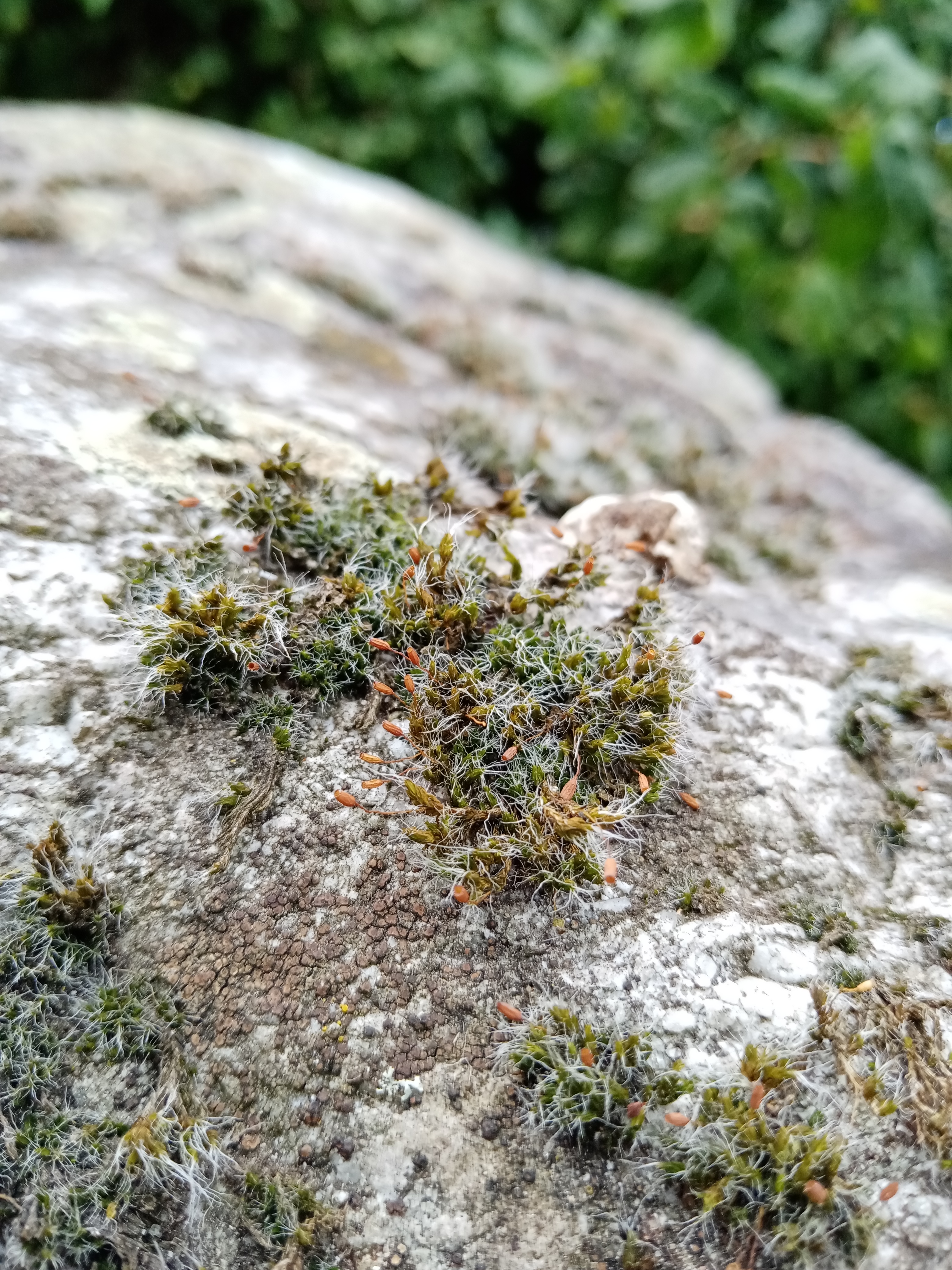 Review-HONOR-9A---UNBOXING-REVIEW-UND-KAMERATEST