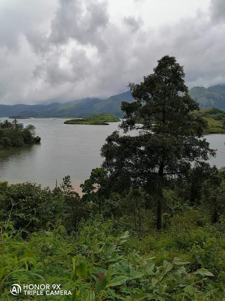 Erste-Fotos-mit-dem-HONOR9X