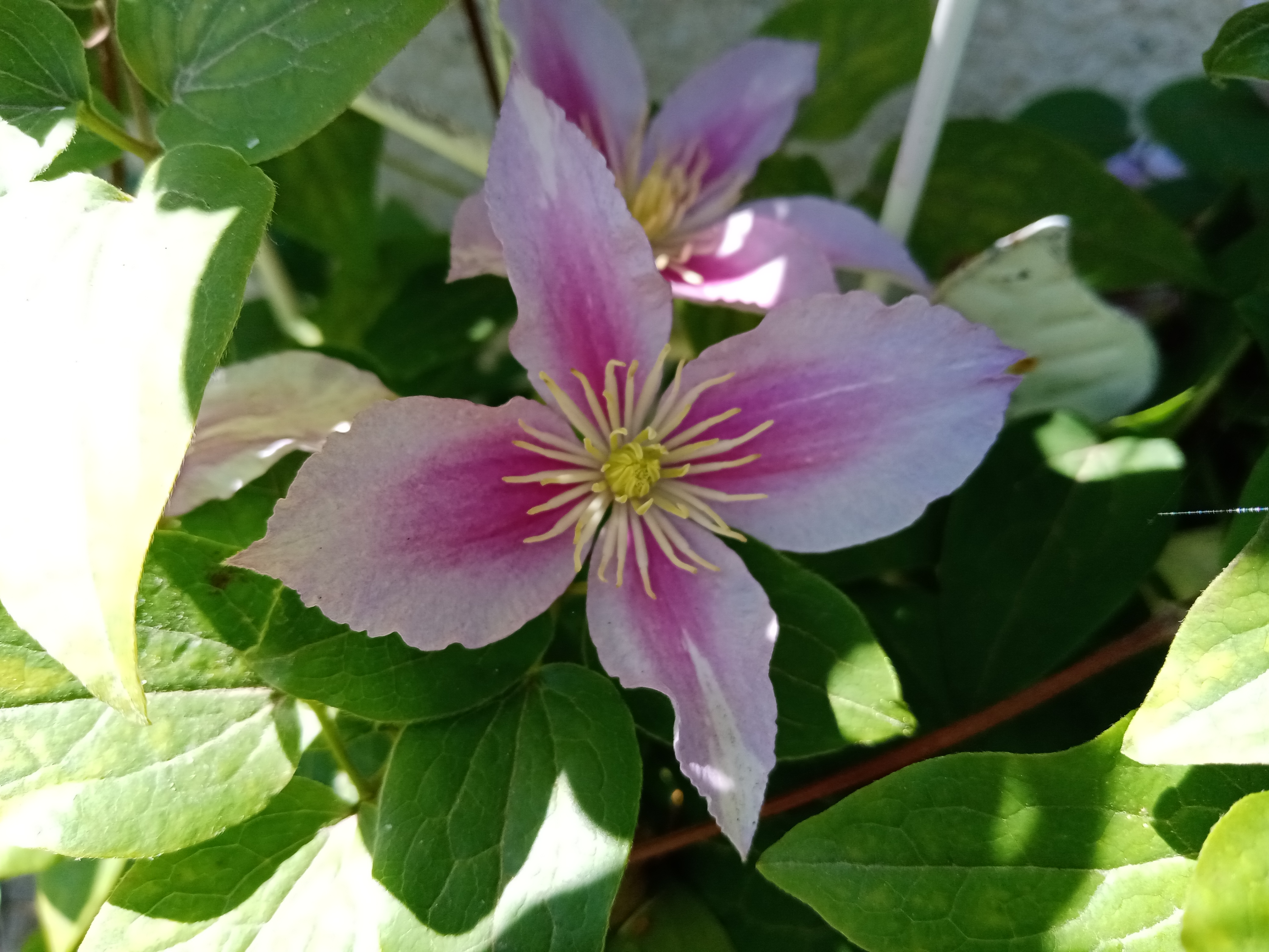 HONOR-9A-Kurz-Review-nach-7-Tagen-erste-Testergebnisse-Einschätzungen