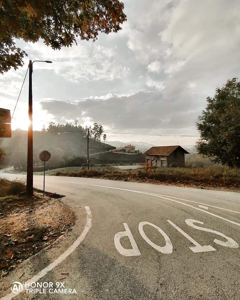 Erste-Fotos-mit-dem-HONOR9X