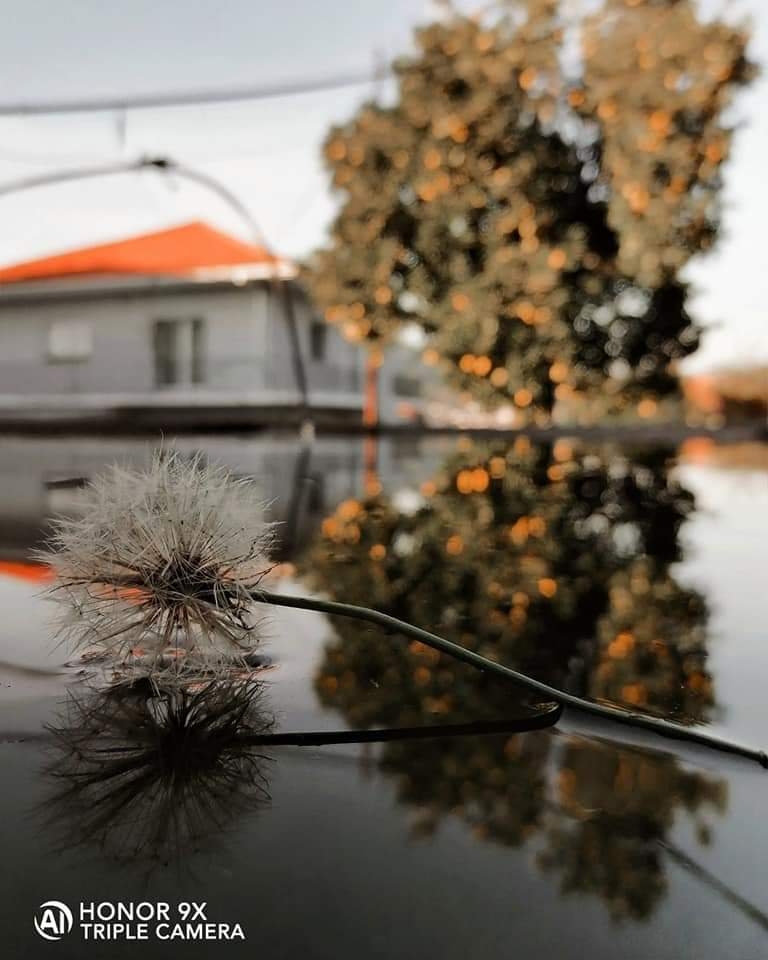 Erste-Fotos-mit-dem-HONOR9X