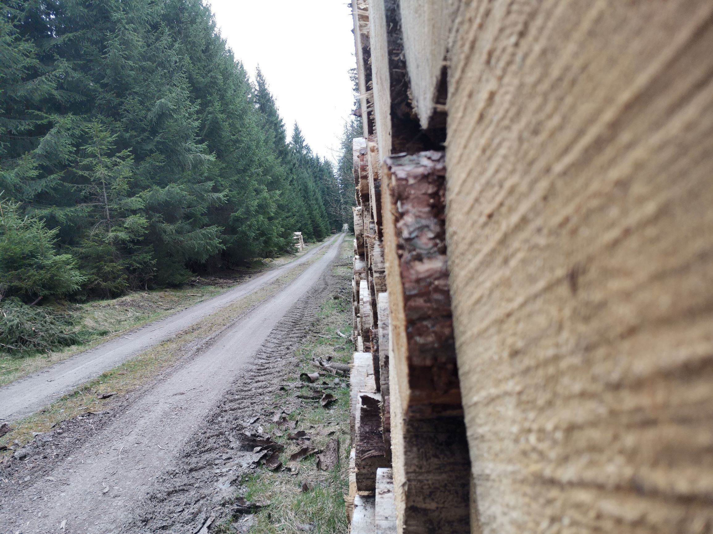 Erfahrung-Honor-9x-Pro-nach-4-Wochen-Dauernutzung-Bewertung