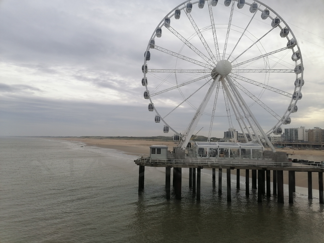 Erfahrungsbericht-HONOR-9X