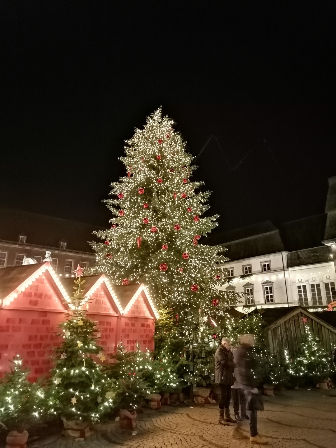 Erfahrungsbericht-HONOR-9X