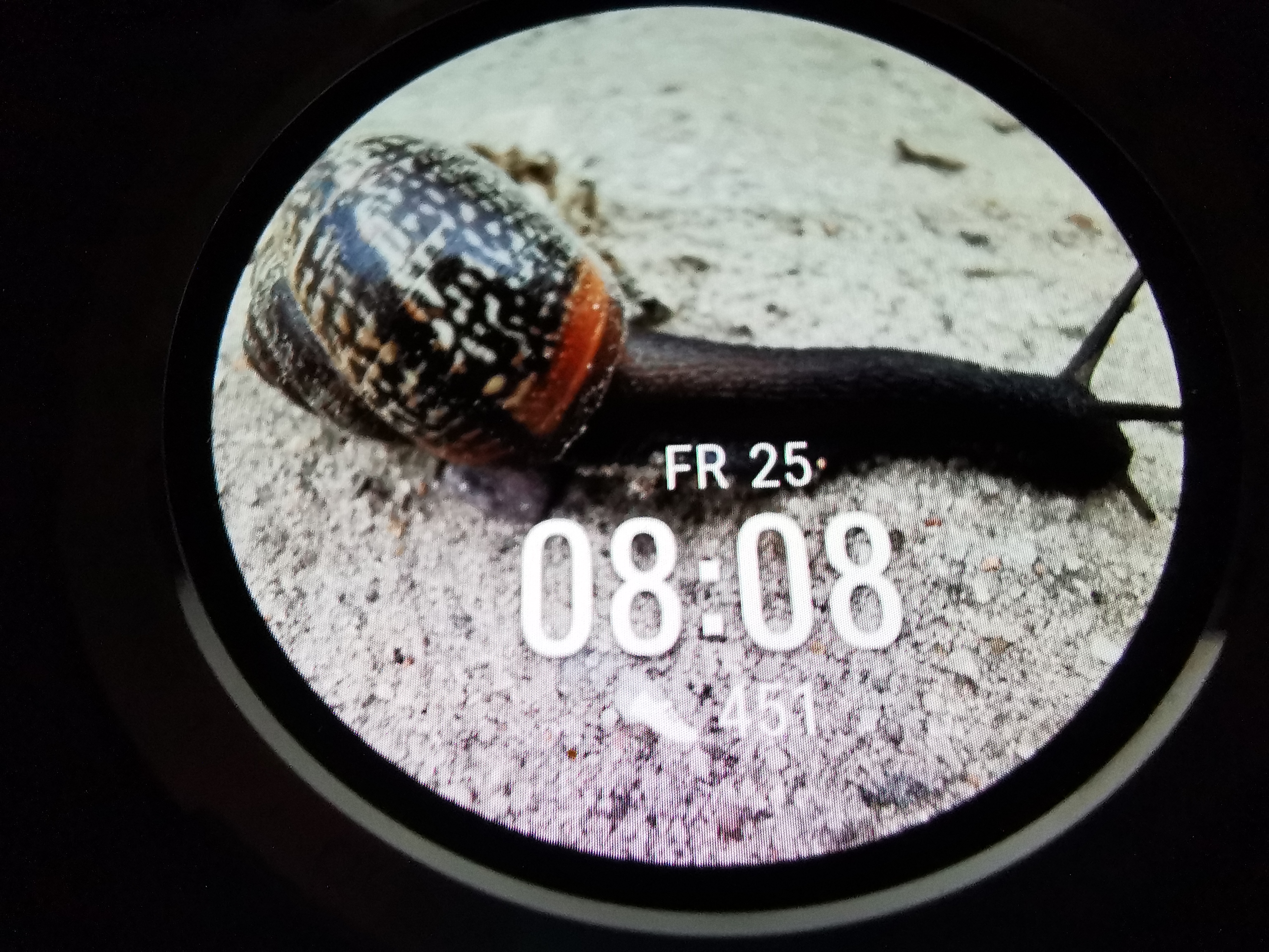 pHi-Communityppbrppihr-wollt-schnell-mal-eigene-Watchfaces-auf-der-GS