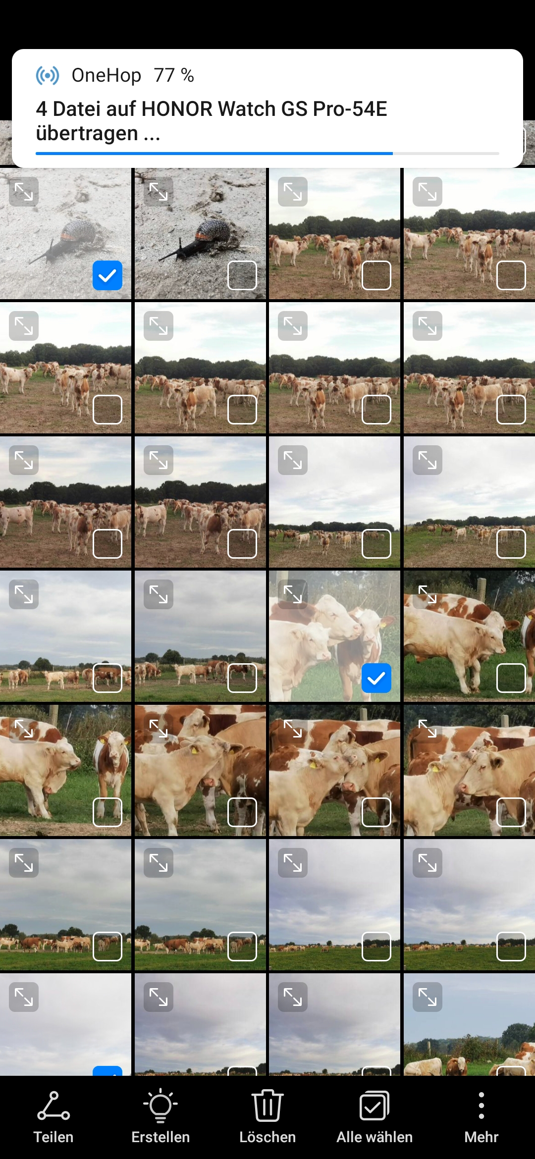 pHi-Communityppbrppihr-wollt-schnell-mal-eigene-Watchfaces-auf-der-GS