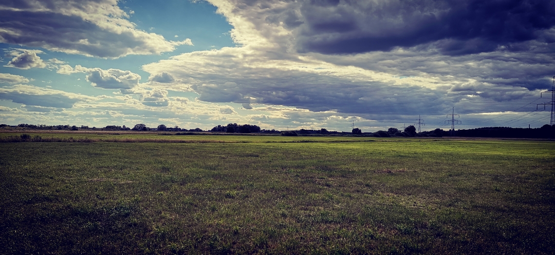 Honor-9X-Pro-Aufnahmen-in-der-Natur