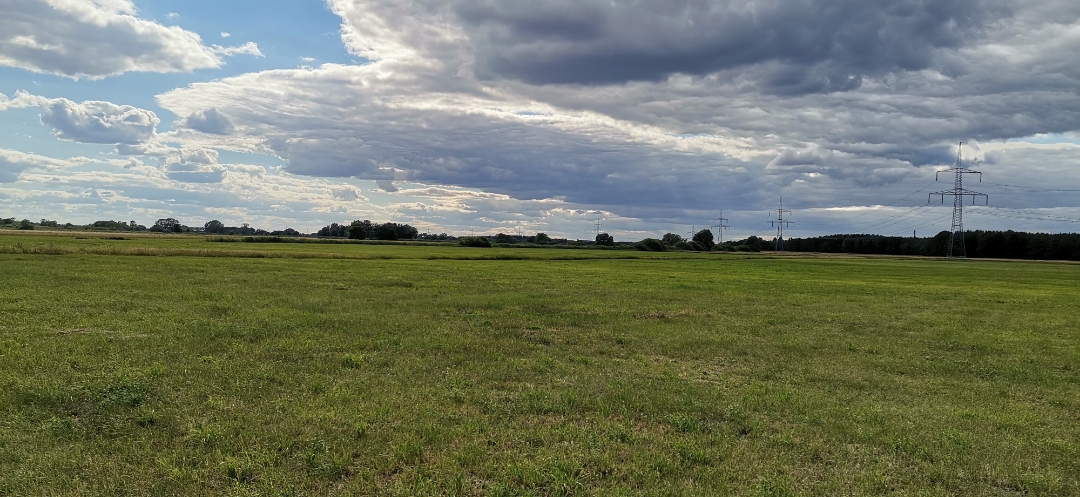 Honor-9X-Pro-Aufnahmen-in-der-Natur