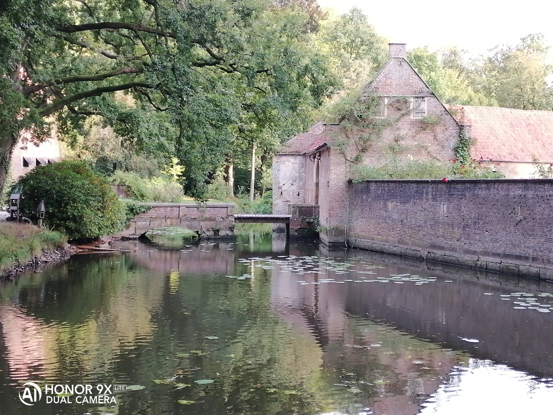 pimg-srchttpsiforum-dechihonorcomdedataimages20209279102691c-6ebd-4cf7