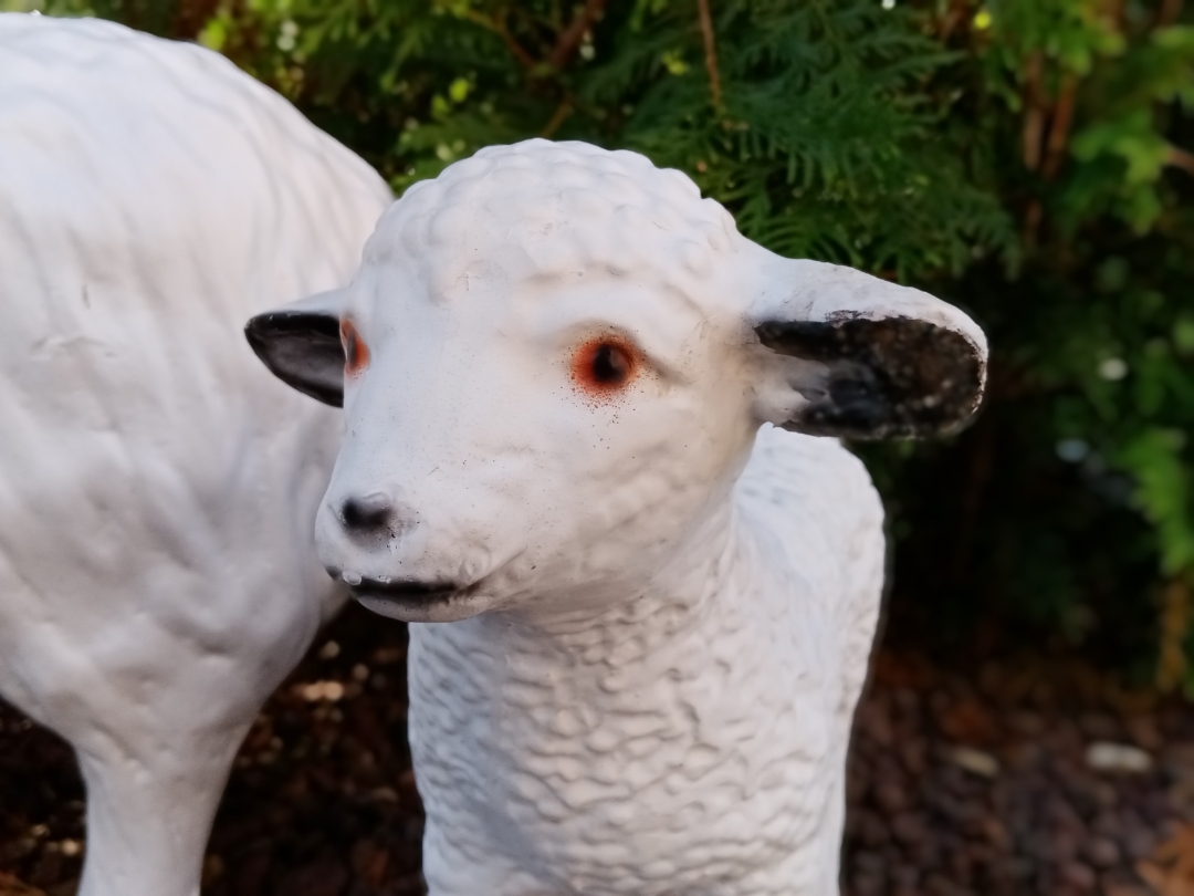 Das-HONOR-9A-im-Garten