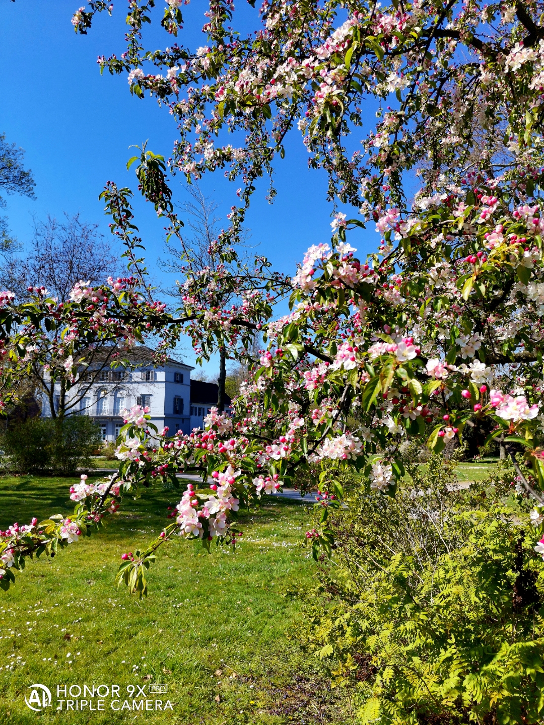 HONOR9XPROnbspBestnbspOfnbspFotos