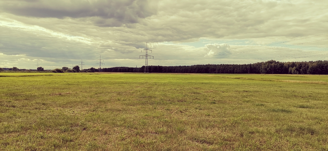 Honor-9X-Pro-Aufnahmen-in-der-Natur