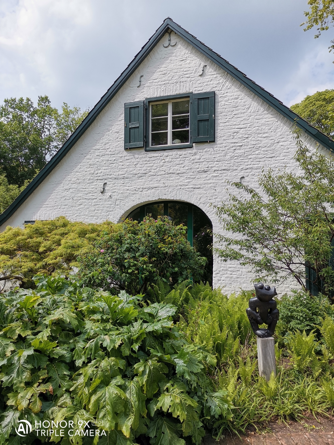 HONOR9XPROnbspBestnbspOfnbspFotos