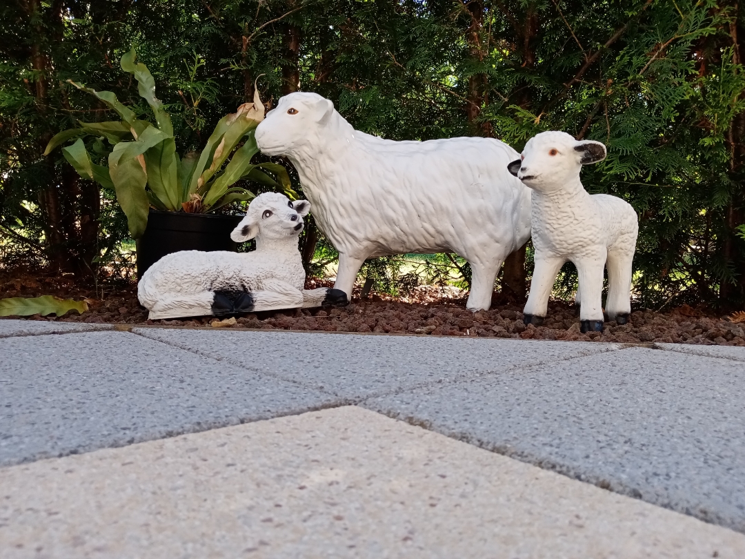 Das-HONOR-9A-im-Garten