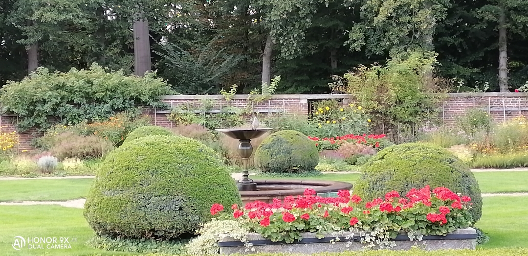 pimg-srchttpsiforum-dechihonorcomdedataimages20209279102691c-6ebd-4cf7