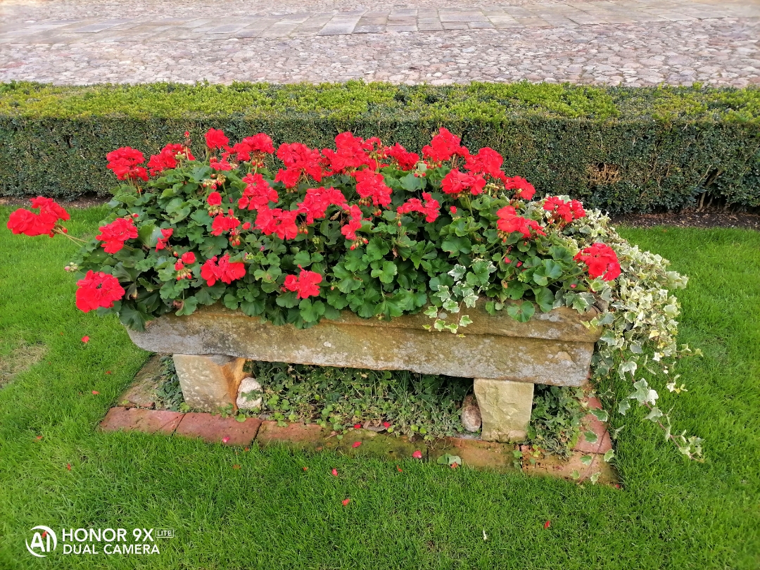 pimg-srchttpsiforum-dechihonorcomdedataimages20209279102691c-6ebd-4cf7