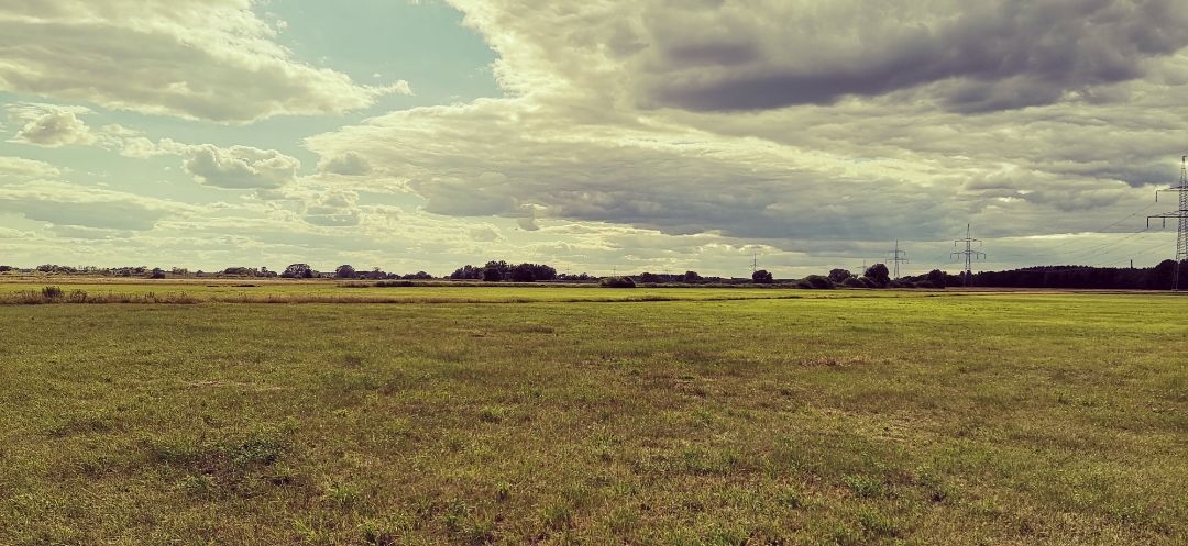 Honor-9X-Pro-Aufnahmen-in-der-Natur