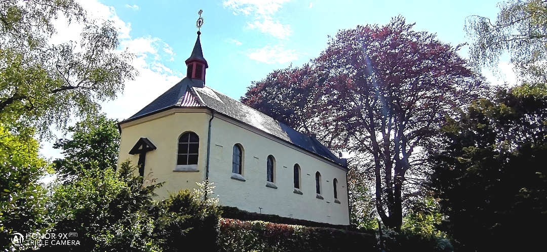 HONOR9XPROnbspBestnbspOfnbspFotos