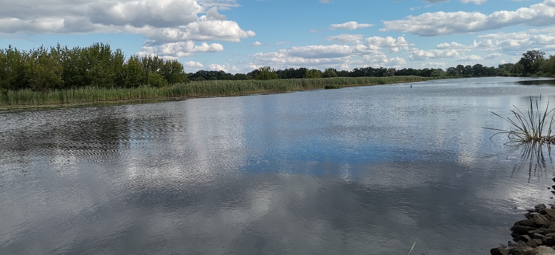 Honor-9X-Pro-Aufnahmen-in-der-Natur