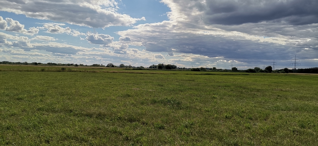 Honor-9X-Pro-Aufnahmen-in-der-Natur