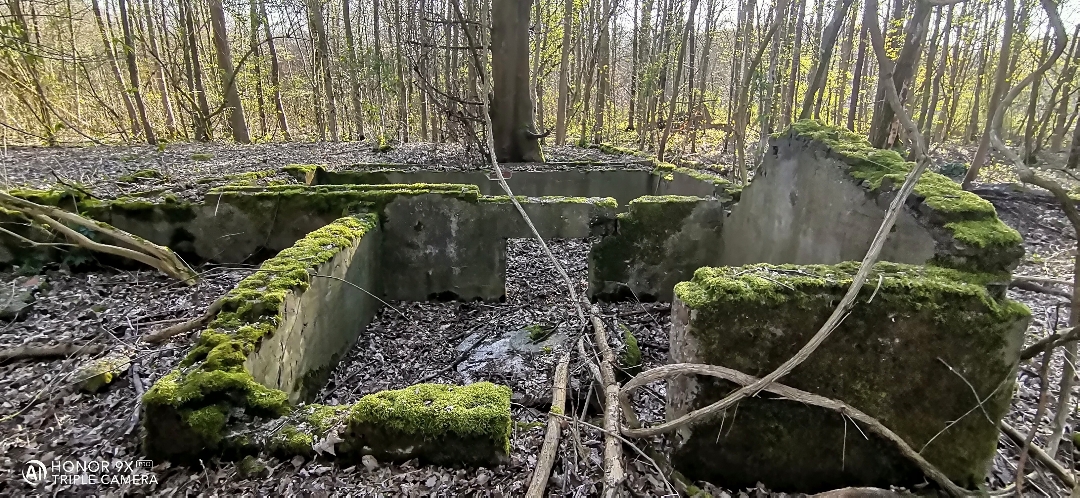 HONOR9XPROnbspBestnbspOfnbspFotos