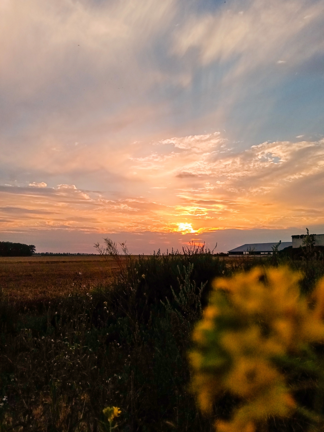 Honornbsp9AnbspSonnenuntergängenbspgenießennbspgehtnbspdasnbsp