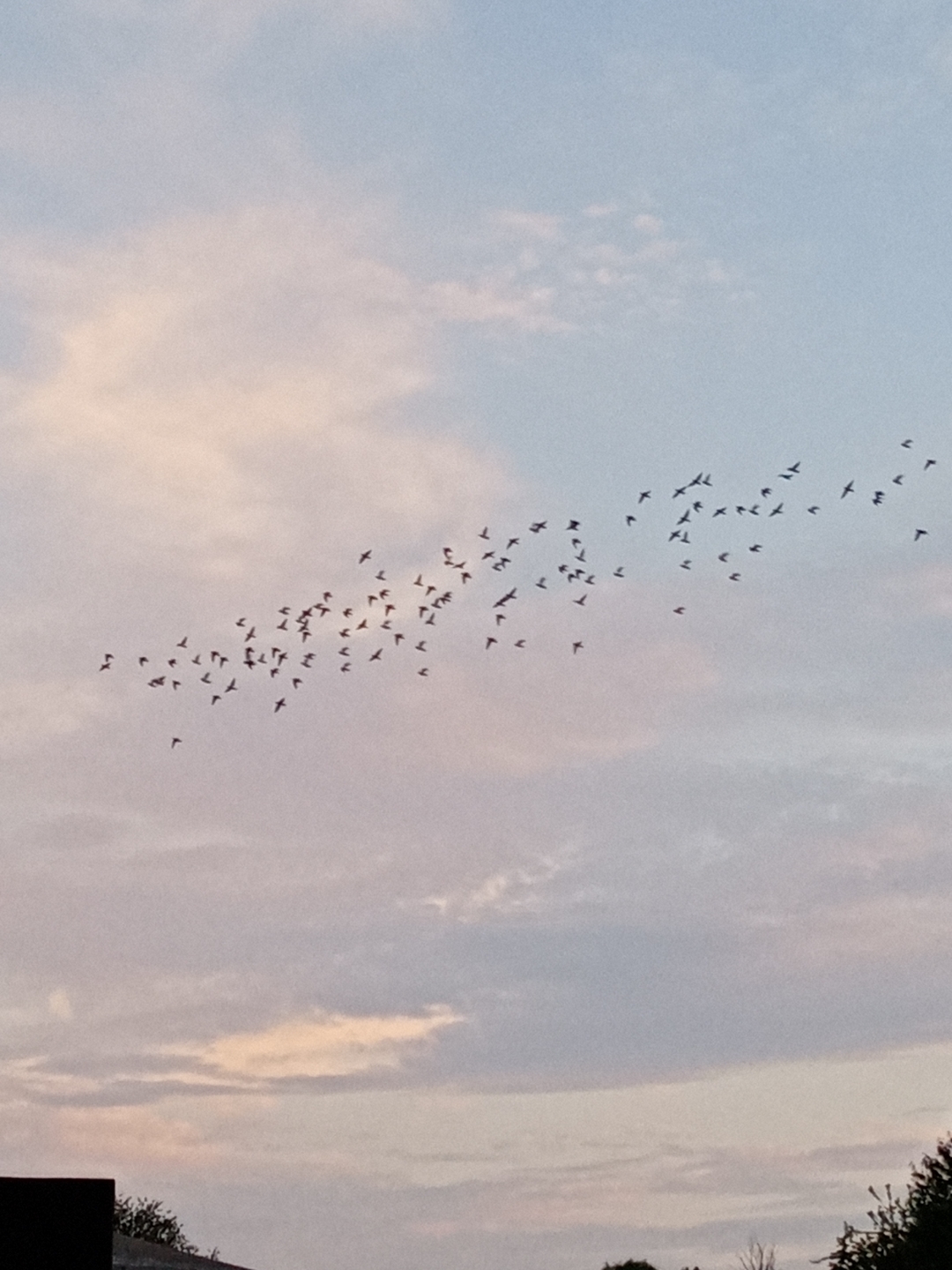 Honornbsp9AnbspSonnenuntergängenbspgenießennbspgehtnbspdasnbsp