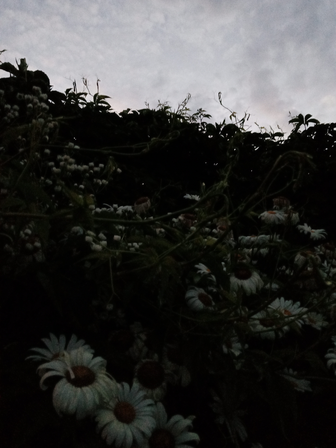 Honornbsp9AnbspSonnenuntergängenbspgenießennbspgehtnbspdasnbsp