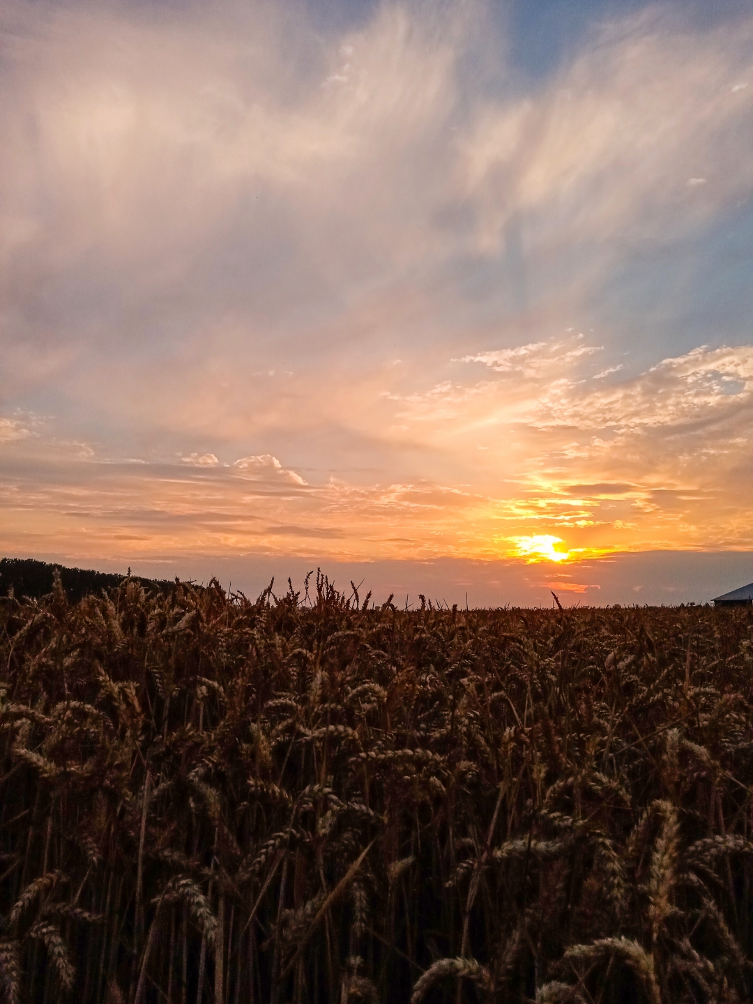 Honornbsp9AnbspSonnenuntergängenbspgenießennbspgehtnbspdasnbsp