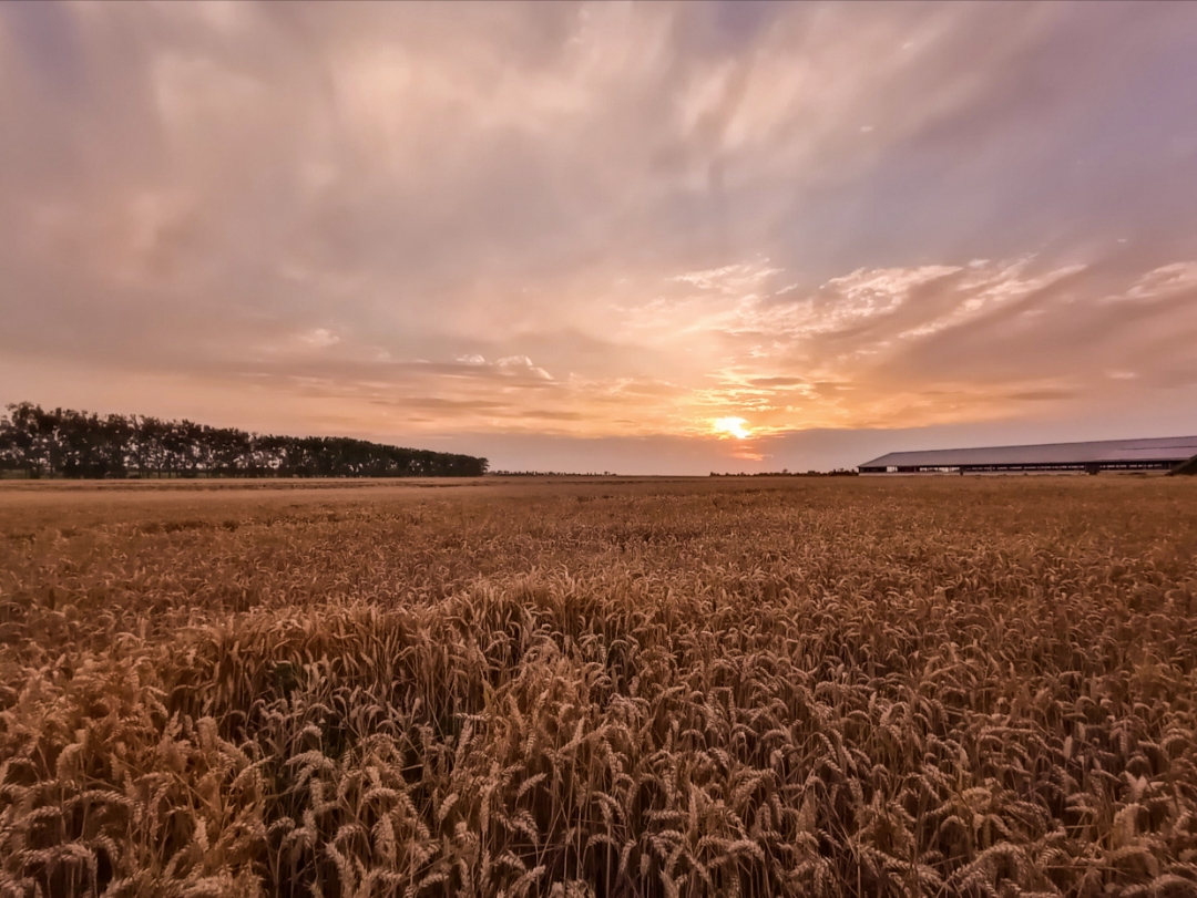 Honornbsp9AnbspSonnenuntergängenbspgenießennbspgehtnbspdasnbsp