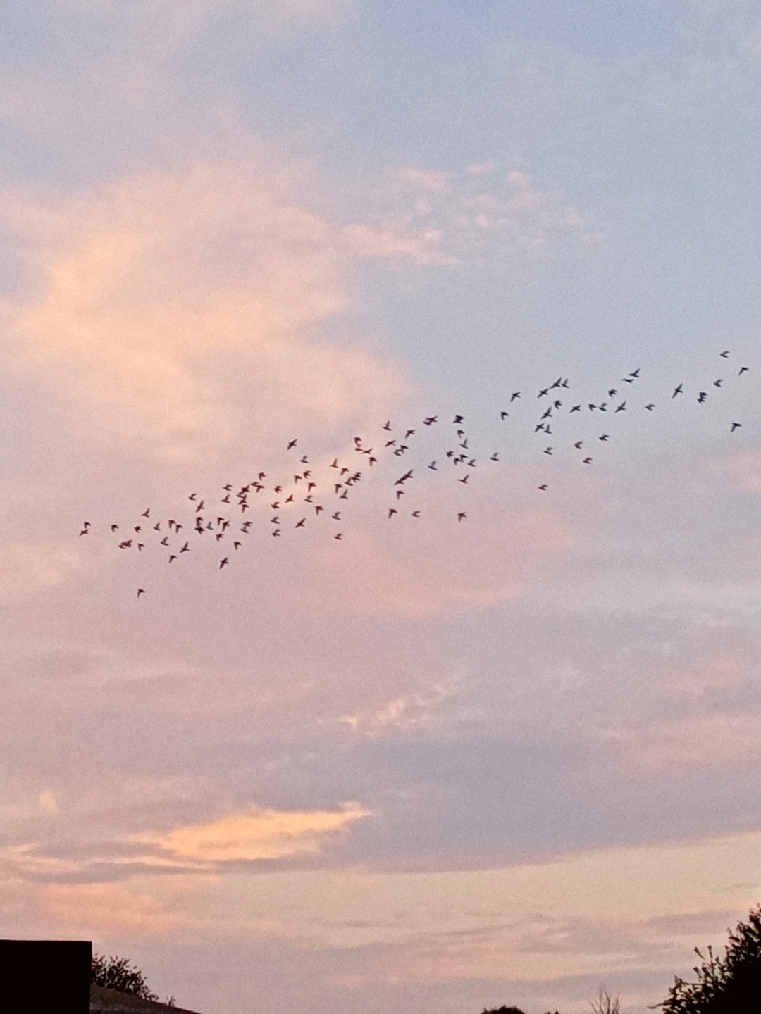 Honornbsp9AnbspSonnenuntergängenbspgenießennbspgehtnbspdasnbsp