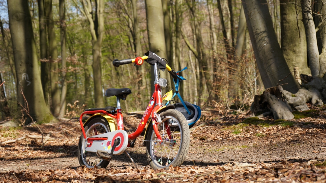 Honor-9x-Pro---Waldspaziergang