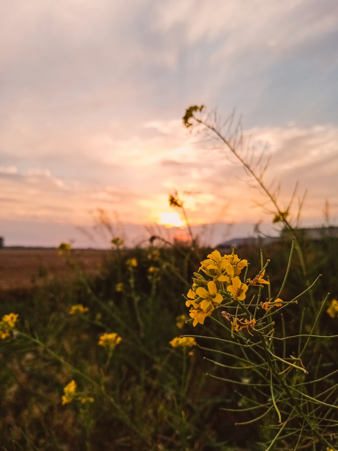 Honornbsp9AnbspSonnenuntergängenbspgenießennbspgehtnbspdasnbsp